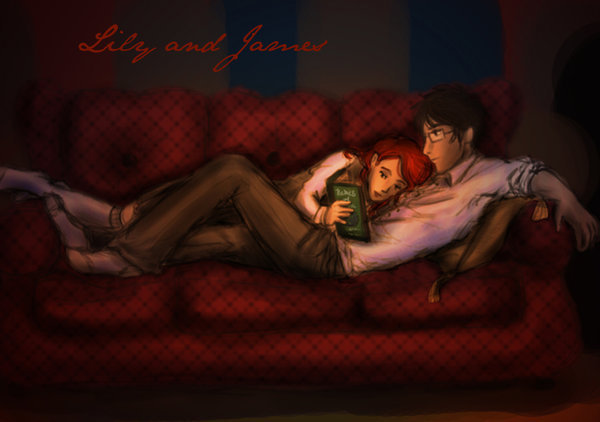 James-and-Lily-lily-and-james-potter-7396601-600-422